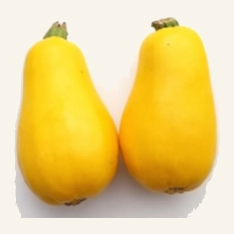 Yellow Squash