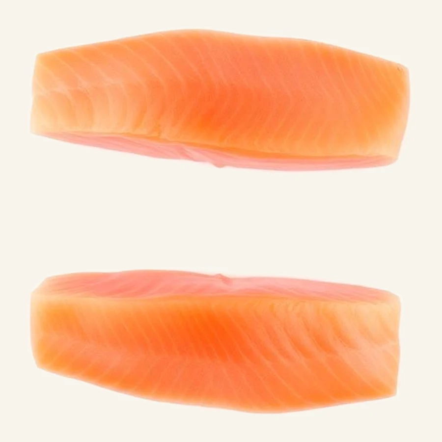 Salmon